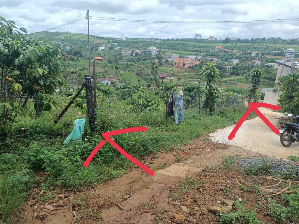 Bán 1 sào hẻm 154 Lý Thái Tổ Dambri Bảo Lộc