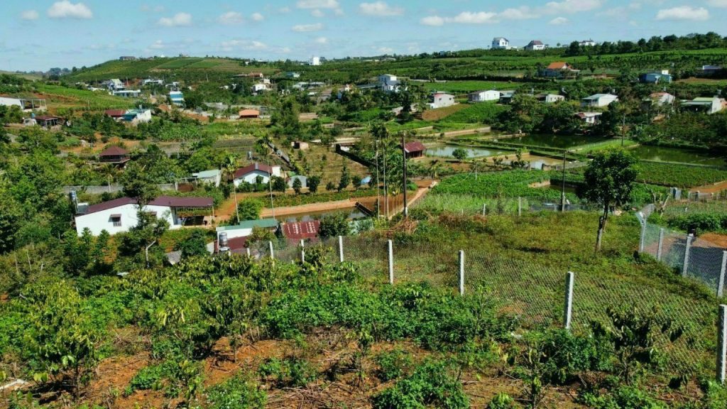 Bán 1 sào hẻm 154 Lý Thái Tổ Dambri Bảo Lộc