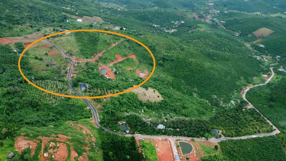 Bán 2,4 ha Núi xanh Lộc Đức Bảo Lâm Lâm Đồng