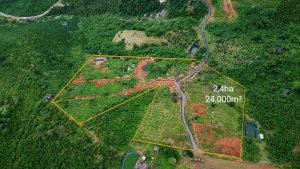 Bán 2,4 ha Núi xanh Lộc Đức Bảo Lâm Lâm Đồng