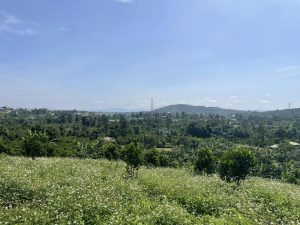 Bán gấp 3,4 sào hẻm Chi Lăng Lộc Thành Bảo Lâm Lâm Đồng