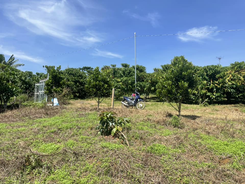 Bán gấp 3,4 sào hẻm Chi Lăng Lộc Thành Bảo Lâm Lâm Đồng