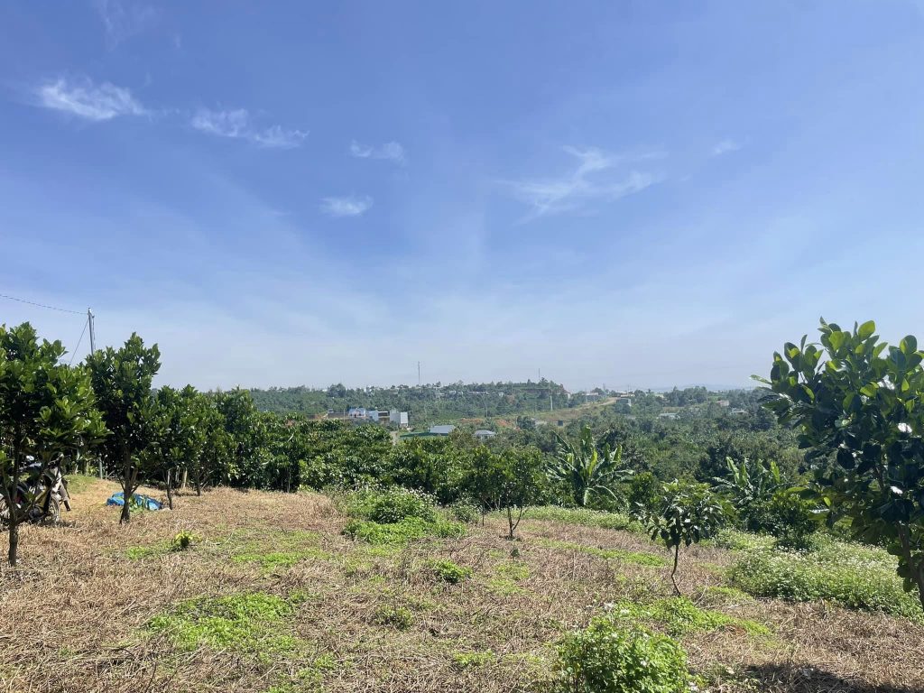 Bán gấp 3,4 sào hẻm Chi Lăng Lộc Thành Bảo Lâm Lâm Đồng