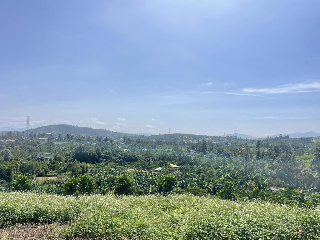 Bán gấp 3,4 sào hẻm Chi Lăng Lộc Thành Bảo Lâm Lâm Đồng