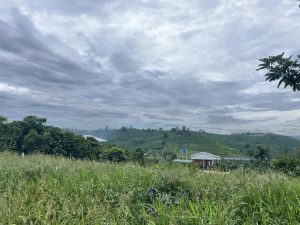 Bán 4,3 sào hẻm Nhà Thờ Tân Hoá Lộc Nga Bảo Lộc Lâm Đồng