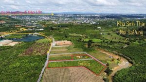 Bán 5,5 sào hẻm Đinh Công Tráng Xã Lộc Châu Bảo Lộc Lâm Đồng