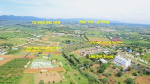 Bán 5,7 sào vườn trà Thôn 7 Lộc Tân Bảo Lâm