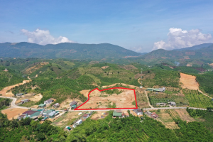 Bán 1,1 ha. 105m mặt tiền đường BlaoSire Xã Đại Lào Bảo Lộc