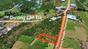 Bán 1 sào, sẵn thổ cư mặt tiền Nguyễn Thanh Ba Dambri Bảo Lộc