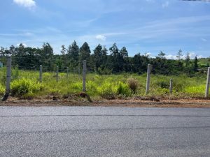 Đất nền thổ cư hẻm nhựa Triệu Quang Phục Phường Blao Bảo Lộc