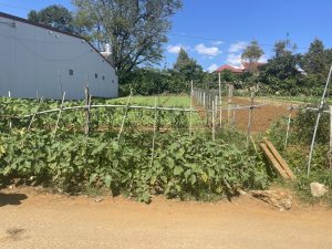 Đất nền thổ cư hẻm 56 Chi Lăng Lộc Sơn Bảo Lộc Lâm Đồng