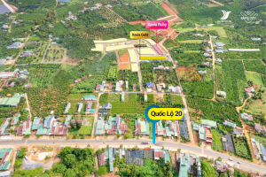 Đất nền biệt thự dự án XAVIA CITY Lộc An Bảo Lâm Lâm Đồng