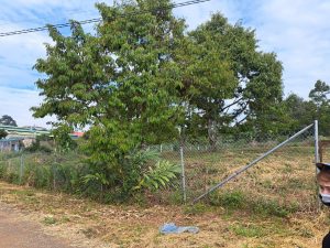 Bán 1,3 sào hẻm Chi lăng Lộc Sơn Bảo Lộc