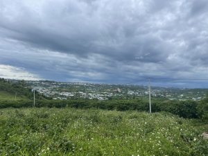 Bán 6 sào hẻm Phan Huy Ích Lộc Châu Bảo Lộc