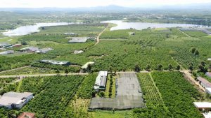 Bán 1,8 sào Mạc Thị Bưởi Xã Lộc Thanh Bảo Lộc Lâm Đồng