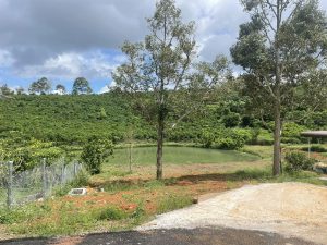 Bán 1,2 ha hẻm Lý Thường Kiệt Lộc Phát Bảo Lộc Lâm Đồng