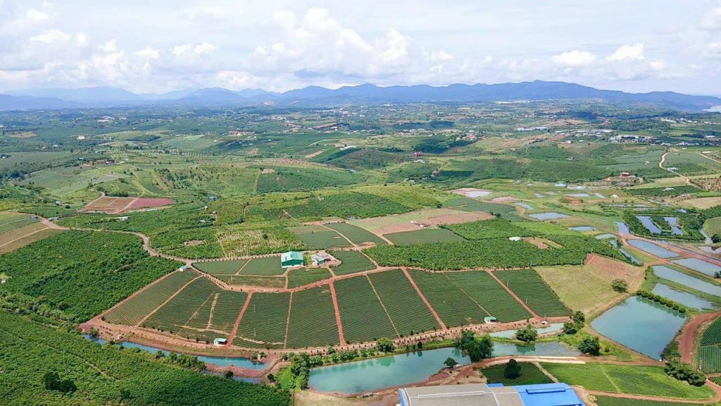 Bán Gấp 9,5 ha Đất Chè Lộc Quảng Bảo Lâm Lâm Đồng