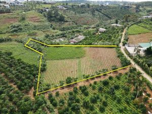 Bán 3,5 sào hẻm Tản Đà Đambri Bảo Lộc Lâm Đồng