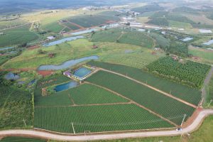 Bán 1 ha vườn đẹp như tranh tại Thôn 14 Dambri Bảo Lộc Lâm Đồng