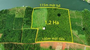 Bán 1,2 ha giáp Hồ Con voi thôn 3 Lộc Tân Bảo Lâm Lâm Đồng