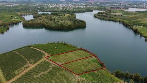 Siêu phẩm 7 sào Hồ Cánh Bướm Lộc Quảng Bảo Lâm Lâm Đồng