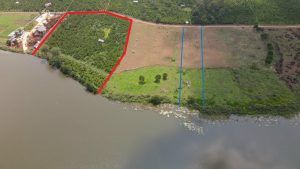 Bán gấp 8 sào Hồ Lộc Thanh Bảo Lộc Lâm Đồng