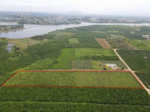 Bán 1 ha 3 mặt tiền tại Thị trấn Lộc Thắng Bảo Lâm Lâm Đồng