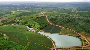 Bán gấp 4,4 ha tại Lộc Quảng Bảo Lâm Lâm Đồng