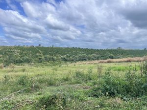 Bán 1,2 ha Đường 22 Lộc Quảng Bảo Lâm Lâm Đồng