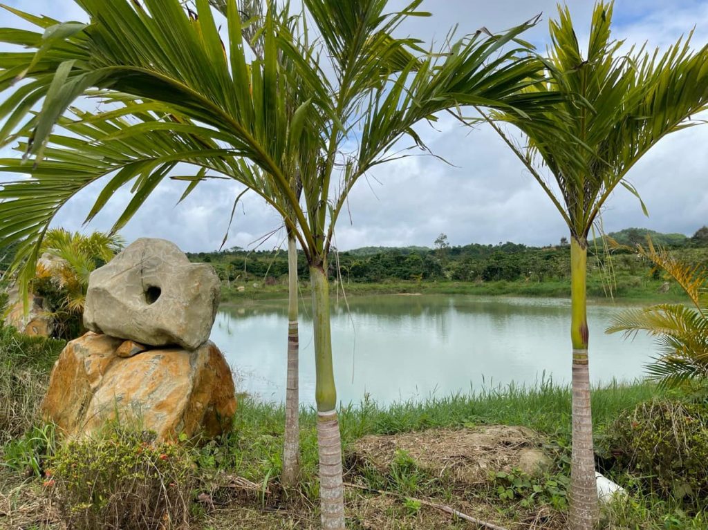Bán 3,2 ha Hồ Mai Thành Lộc Châu Bảo Lộc Lâm Đồng