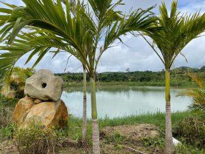 Bán 3,2 ha Hồ Mai Thành Lộc Châu Bảo Lộc Lâm Đồng