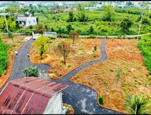 Bán 9.000 m2 mặt tiền Ngô Tất Tố Lộc Châu Bảo Lộc Lâm Đồng