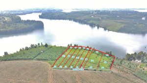 Siêu phẩm nghỉ dưỡng hồ Cánh Bướm Bảo Lâm Lâm Đồng