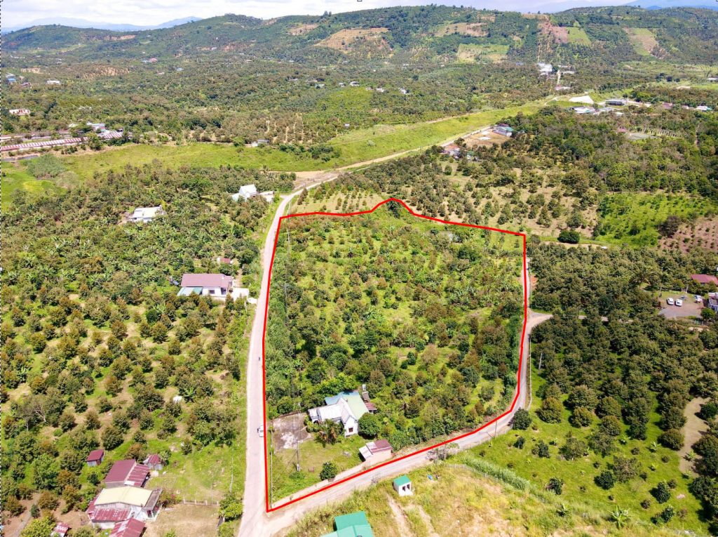 Bán 1,85 ha vườn Cây ăn trái tại Lộc Nam Bảo Lâm Lâm Đồng