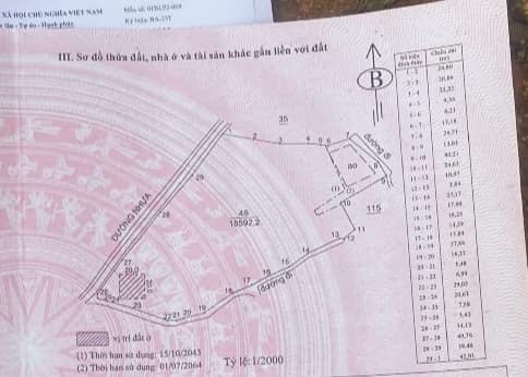 Bán 1,85 ha vườn Cây ăn trái tại Lộc Nam Bảo Lâm Lâm Đồng