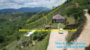 Bán 6,000 m2 kế bên Homestay Cloudhill Phạm Hồng Thái Đại Lào Bảo Lộc