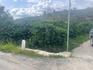 Bán 1,9 sào Góc hai mặt tiền Tân Lạc Bảo Lâm Lâm Đồng