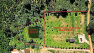 Bán 2573 m2 mặt tiền đường Hàm Nghi Đại Lào Bảo Lộc Lâm Đồng