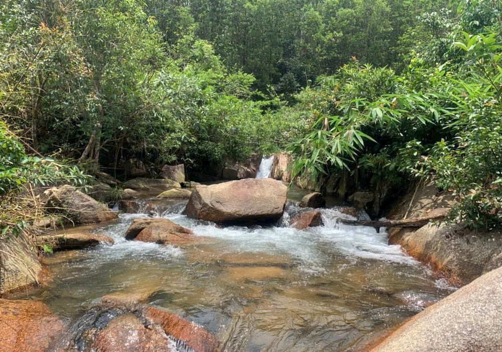 Bán 1 ha vườn Cà phê - suối đá Phường 3 Bảo Lộc