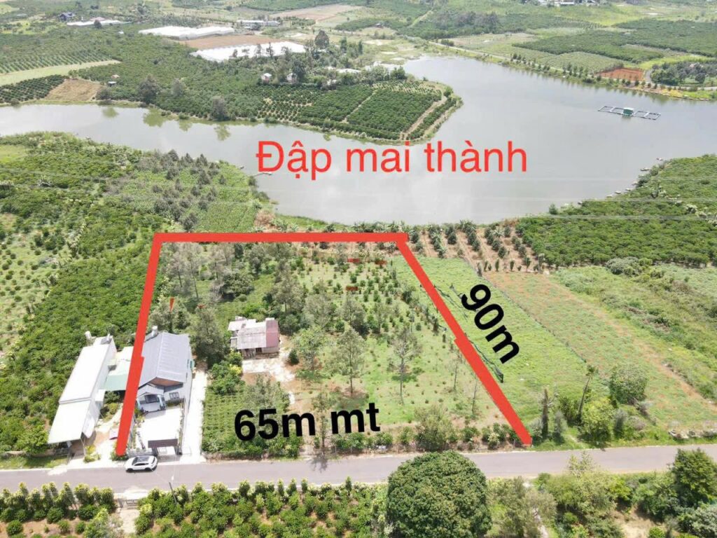 Bán 5,8 sào Hồ Mai Thành Phường 3 Bảo Lộc Lâm Đồng