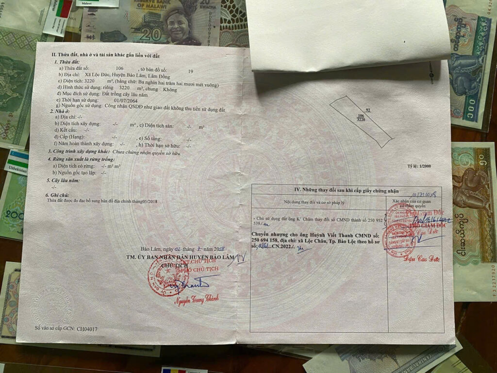 Bán vườn cà phê giá rẻ Đỉnh Núi Xanh Lộc Đức Bảo Lâm