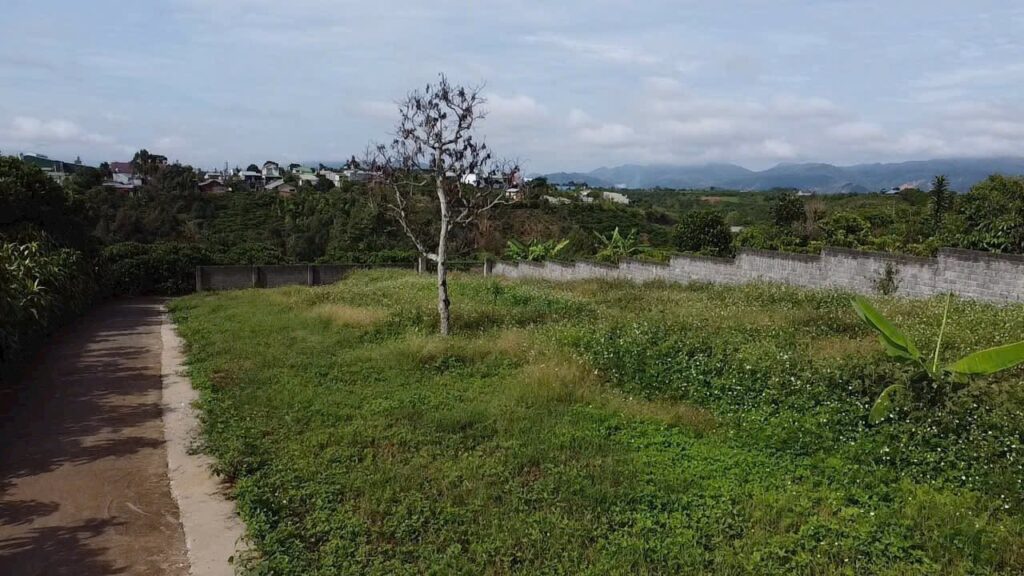 Bán đất nền hẻm Lê Phụng Hiểu Phường 3 Bảo Lộc Lâm Đồng